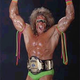 Illustration for article titled The Ultimate Warrior Edition